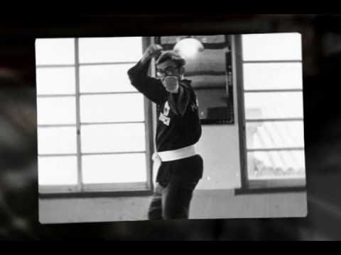Tiger Shark Hapkido DVD Intro