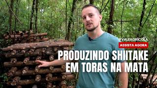 Miniatura do vídeo