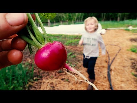 download lagu mp3 mp4 Garden Family Farm, download lagu Garden Family Farm gratis, unduh video klip Garden Family Farm