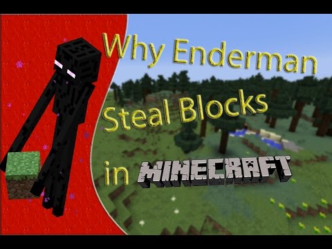 Why Enderman Steal Blocks