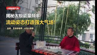 Energy Frequencies in Tai Chi: The Rotating Fan Blade Analogy for Power Fields