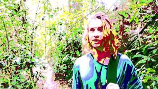 FALLING LEAVES ON THE WIND - PINK HARVEST