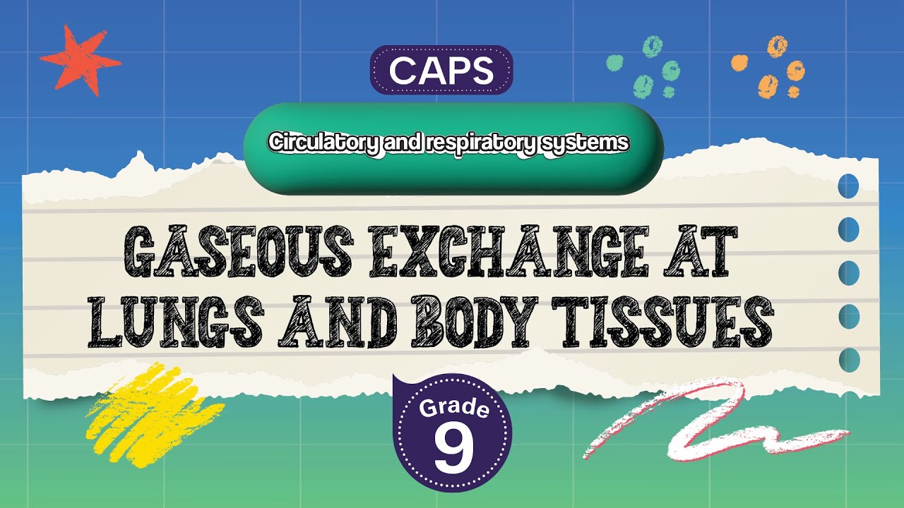 [GRADE 9] Gaseous exchange at lungs and body tissues