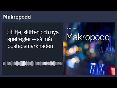 Makropodd - Stiltje, skiften och nya spelregler – så mår bostadsmarknaden