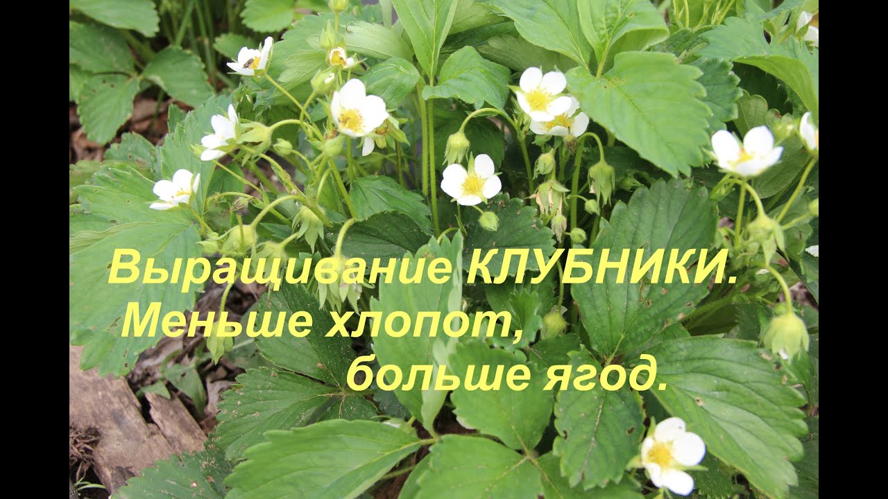 поменьше хлопот побольше