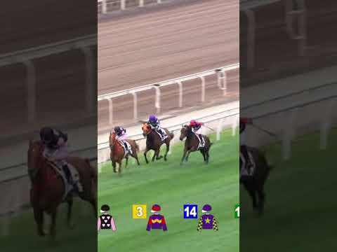 LUCKY ENCOUNTER K Teetan @racingshorts272