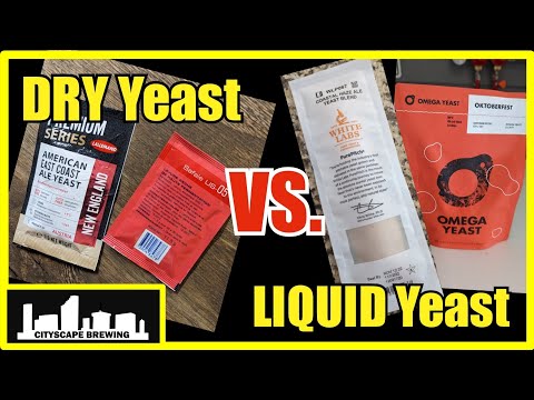 DRY or LIQUID Yeast? Which should YOU use?