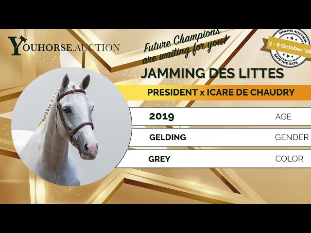 Jamming des Littes showvideo