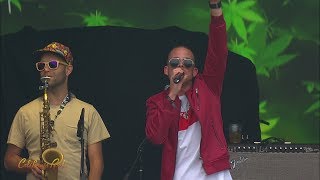 Collie Buddz "Come Around" (Live) - California Roots 2017