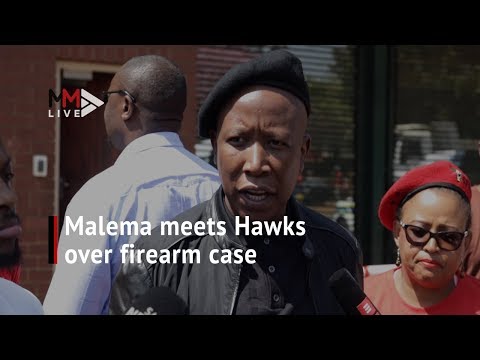 Malema firm on firearm denial ‘They use us for diversion from real issues’