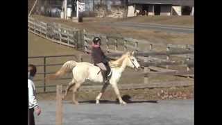 Horseback Riding Big Ass Heart (Glee)