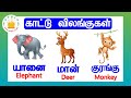 காட்டு விலங்குகள் Kattu Vilangugal Wild Animals Name In Tamil And En
