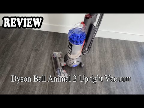 Dyson Ball Animal 2 Upright Vacuum Review - Pros, Cons and My Secret Tips