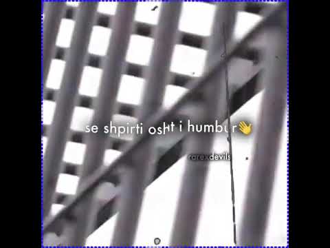 Mitrovicali jom mburrna dit per dit tu E mshef forcen 👊⚡😈