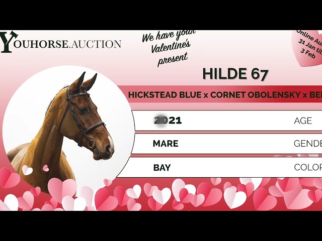 Hilde homevideo