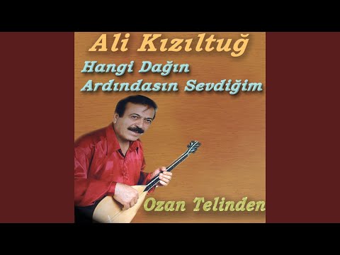 Video Yükleniyor...