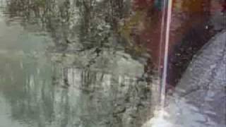 genius - murmurs * mm