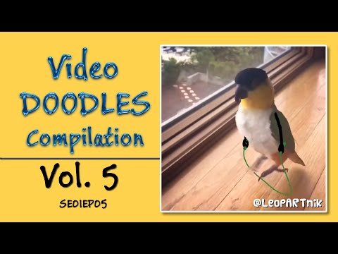 Funny Video Doodles Compilation S01E05