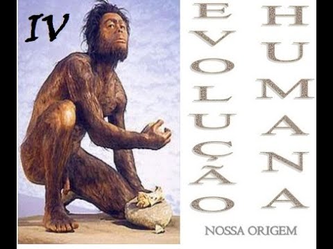 Evolução Humana IV - humanos modernos
