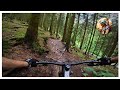 Endless Trees Trail At Trailpark Winterberg Canyon Torque AL 4K