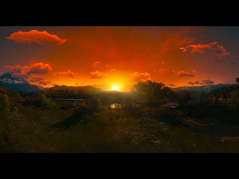 The Witcher 3: Blood and Wine Soundtrack - Wind in the Caroberta Woods ( 1 Hour Version- Extended)