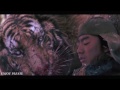 Tiger VS Wolf Fight Scene HD