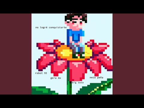 NO LOGRÉ CONQUISTARTE