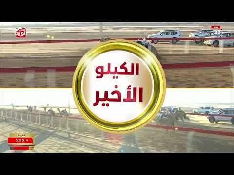 ش 3 (محبوب) لـ صالح محمد بن سالمين العامري 7:21:03 ، مهرجان ختامي الوثبة 2026/05/12 لقايا