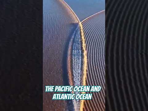 The Difference of Pacific Ocean and Atlantic Ocean 🌊