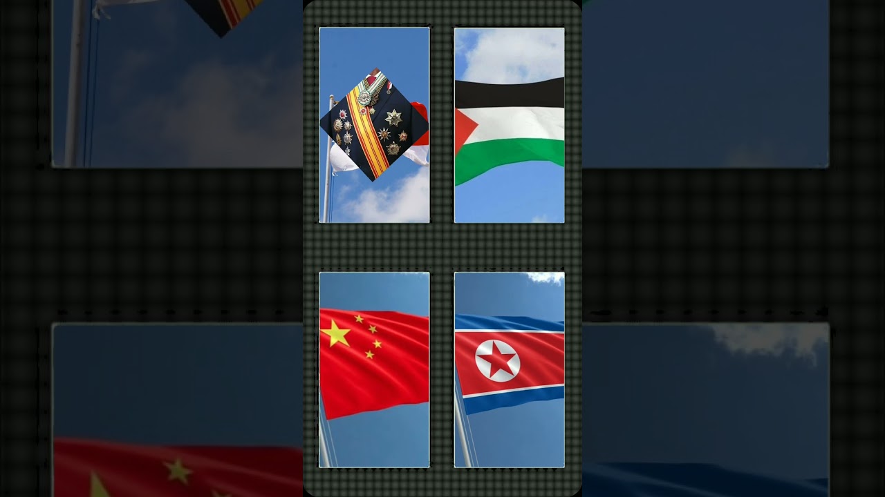 Mengcolleb versi presiden negaranya #edit#janganlupasubscribe#capcut#fypシ゚