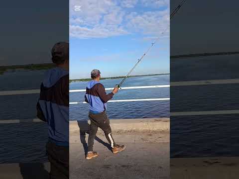 Pesca del día 5 de Mayo en la laguna El Bonete Vera Santa fe Argentina, a 100 km desde Reconquista.