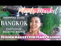 Shopping Bangkok Plants Market Hidden Market Chatuchak Market Thailand TeyaSuchira