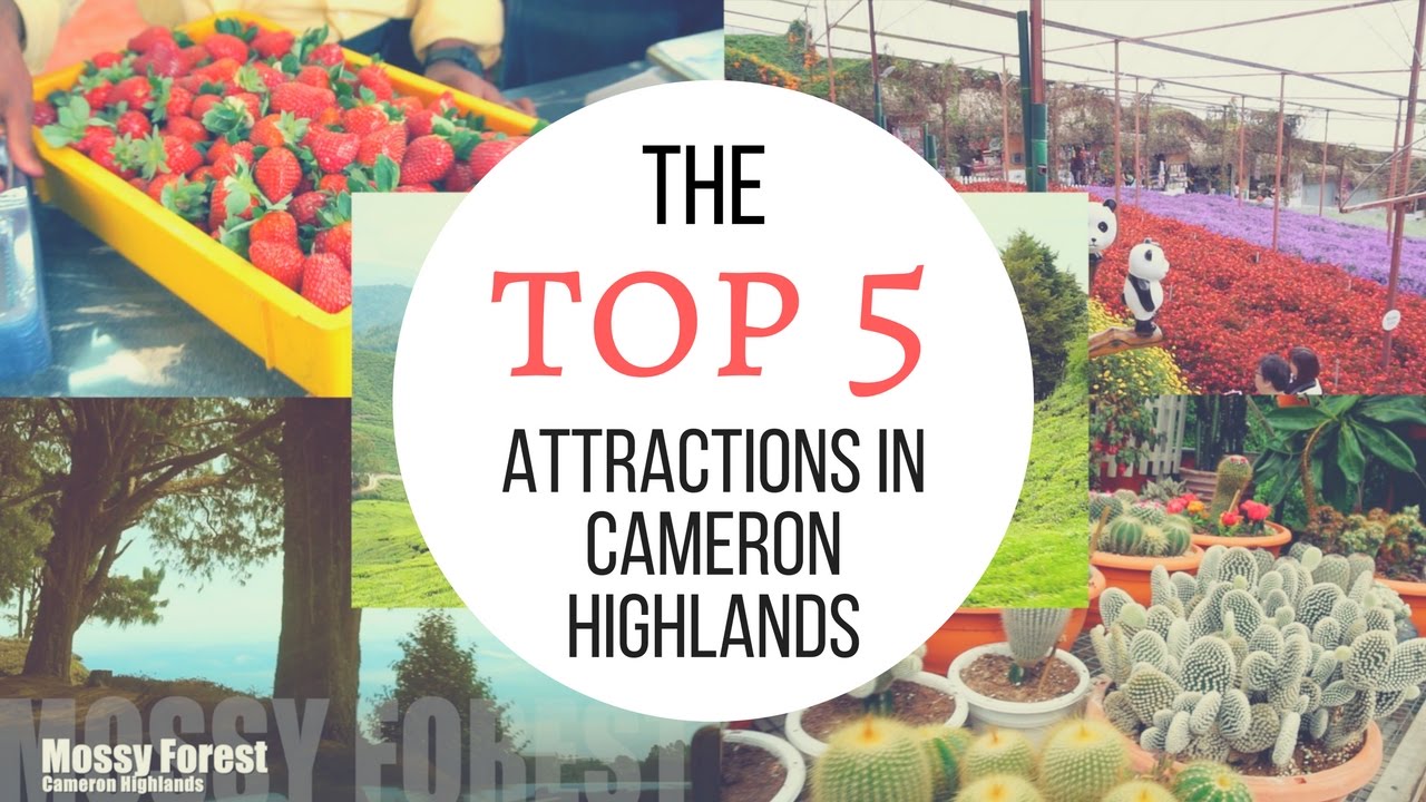 Top 5 Attractions in Cameron Highlands │ Travel Malaysia Guide