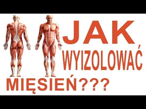 Trening z hantlami w mięśniach klatki piersiowej Struktura mięśni człowieka