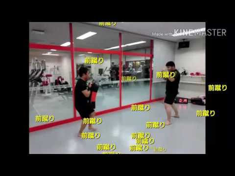 前蹴り  つくば下妻キックボクシング