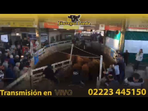 Brandsen - Buenos Aires - Jáuregui Lorda