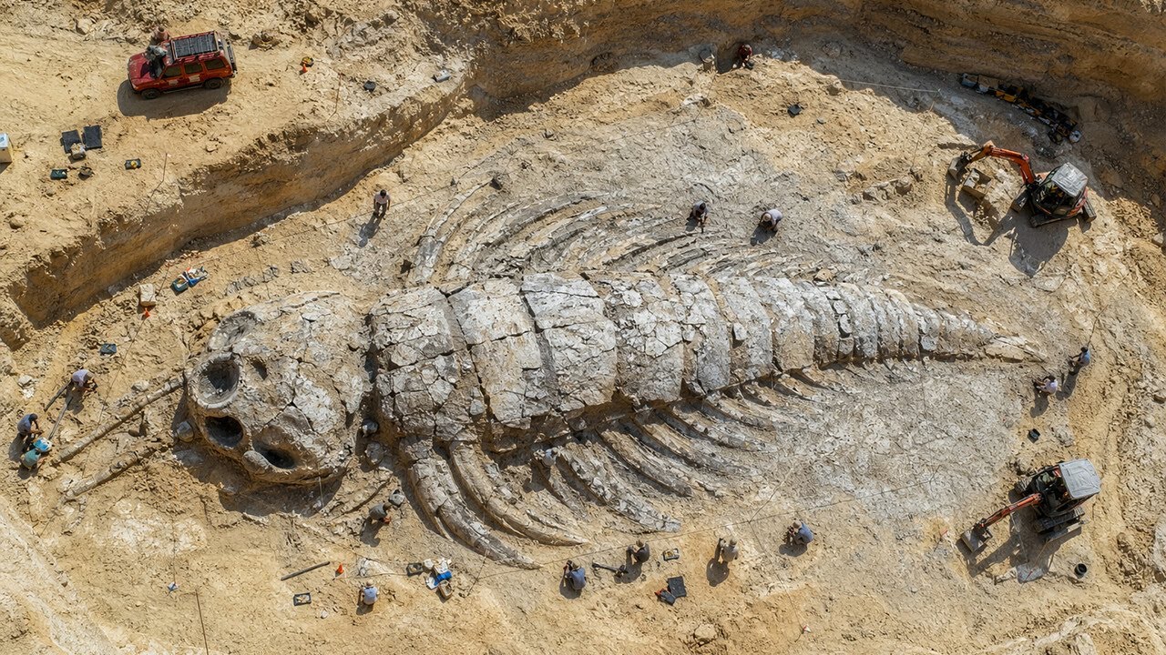 Scientists Found a 506-Million-Year-Old Monster in Canada