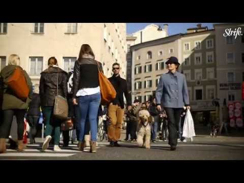 DOYOBE 2013 Trailer | STRIFE.