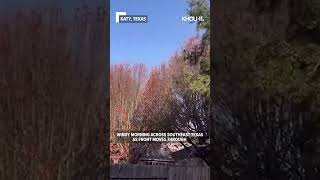 WInd picks up in Katy as front moves through, Arctic blast two days away #shorts