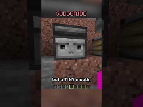 i am a redstone expert.