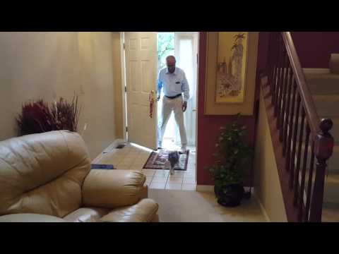 Tiger excited to see Sampath