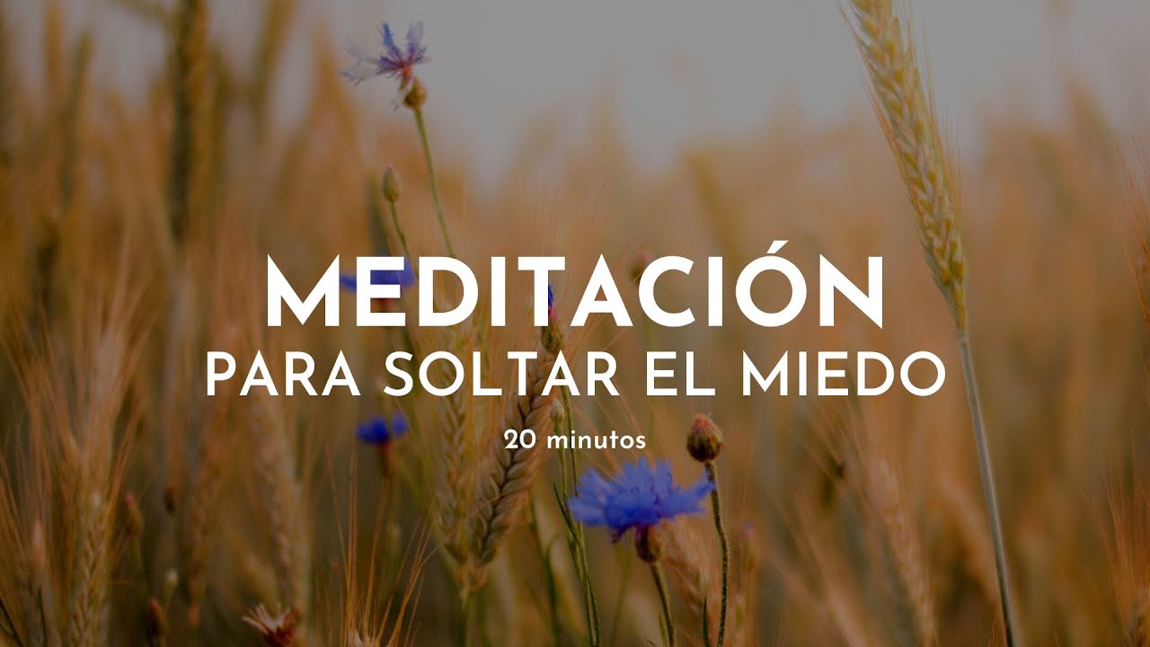 Liberar el miedo y la angustia en 20 minutos: Meditación guiada con Gabriela Litschi