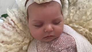 Η κοιμωμένη στα λευκά Vol.1