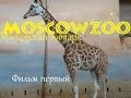 MoscowZoo - Московский зоопарк. Фильм первый 