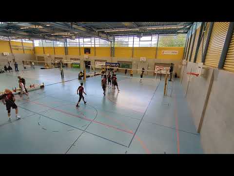 VB Therwil - Dragons Lugano