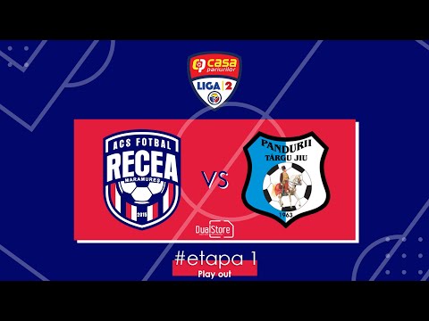 ACSF RECEA - PANDURII