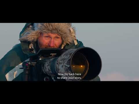 Trailer filmu 23. MDAG: Niedźwiedzica