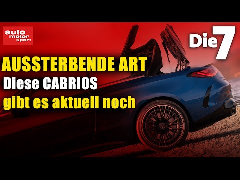 Die 7 besten Cabrios für den Sommer 2025: Diese Modelle müssen Sie kennen!