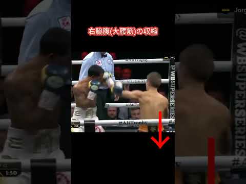 井上尚弥のカウンター左フック