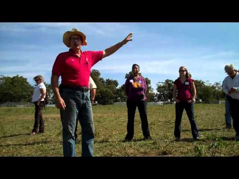 download lagu mp3 mp4 Pastured Bacon, download lagu Pastured Bacon gratis, unduh video klip Pastured Bacon